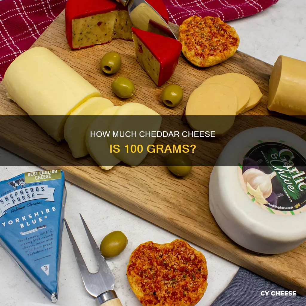 what does 100 grams of cheddar cheese look like