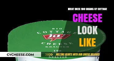 Visual Guide: Understanding the Appearance of 100 Grams Cottage Cheese