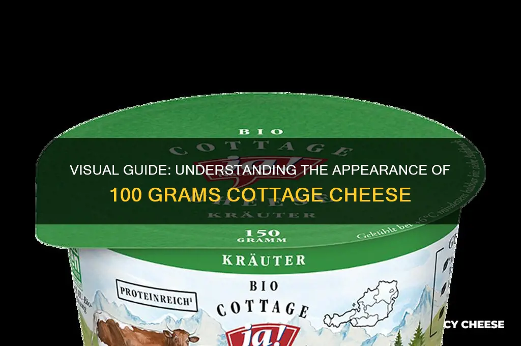 what does 100 grams of cottage cheese look like