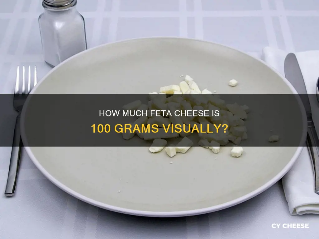 what does 100 grams of feta cheese look like