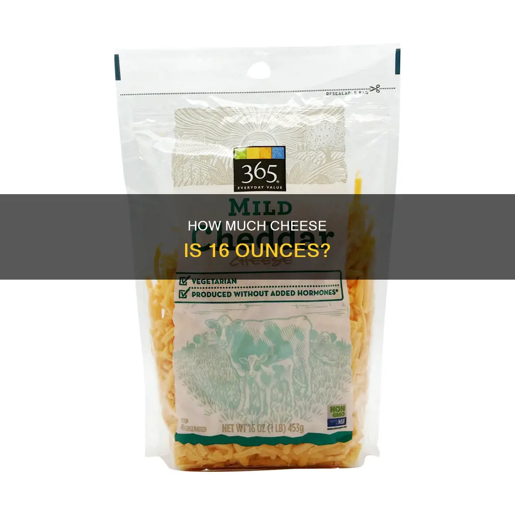 what does 16oz of shredded cheese look like