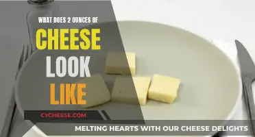 Cheese Portioning: Understanding 2 Ounces Visually