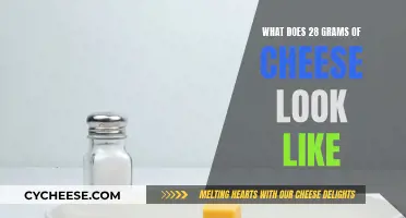 Cheese Portioning: Understanding 28 Grams Visually