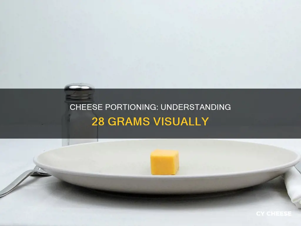what does 28 grams of cheese look like