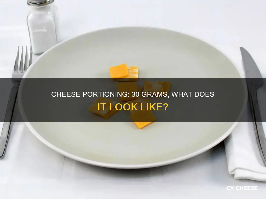 what does 30 g of cheese look like