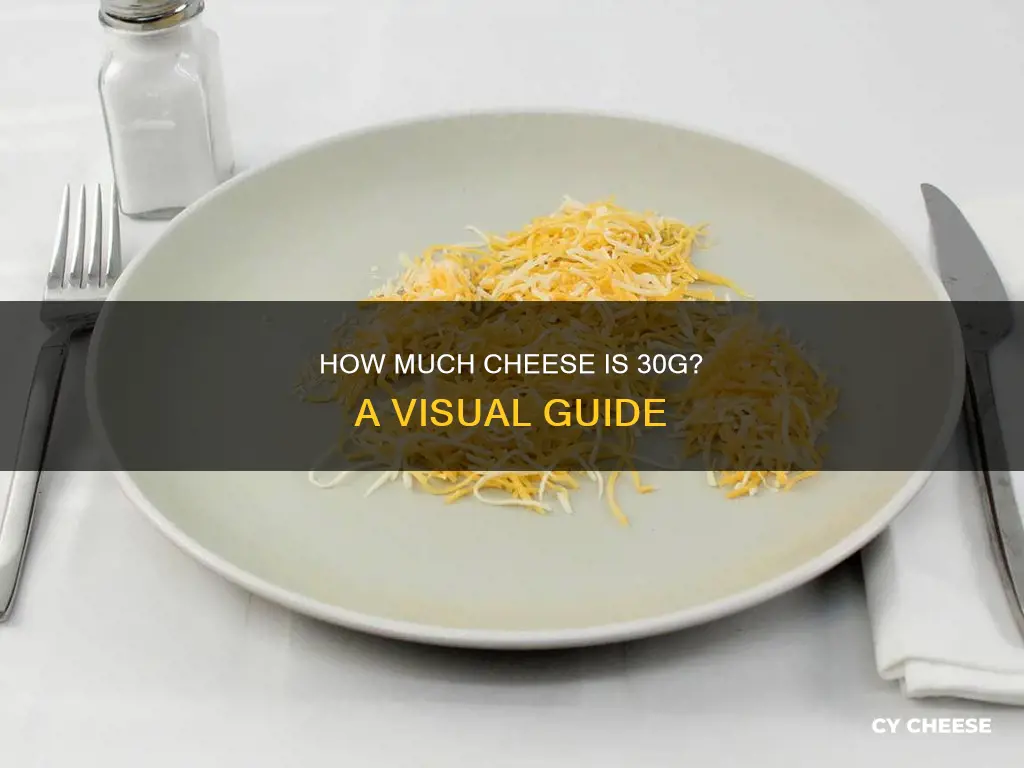 what does 30g of shredded cheese look like