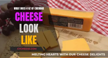 Cheddar Cheese Portion: Visual Guide to 4 Ounces