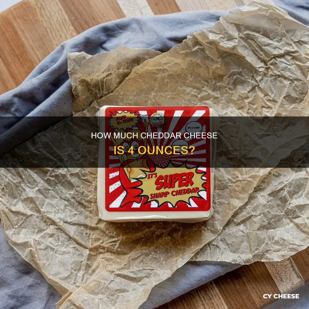 what does 4 oz of cheddar cheese look like