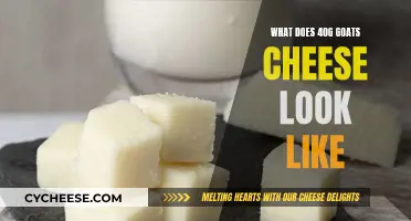 Goat Cheese Portions: 40g and Its Visual Guide