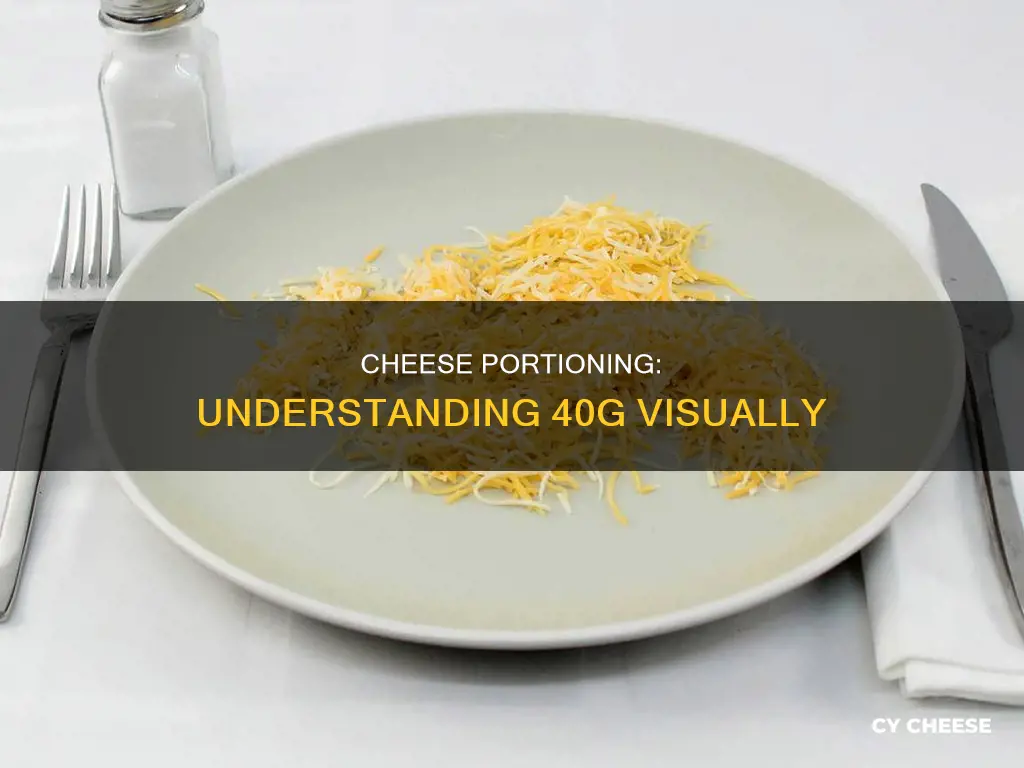 what does 40g of cheese look like