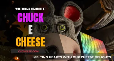 The Role of a Busser at Chuck E. Cheese