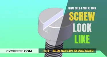 Cheese Head Screw: A Detailed Look at Its Design and Appearance