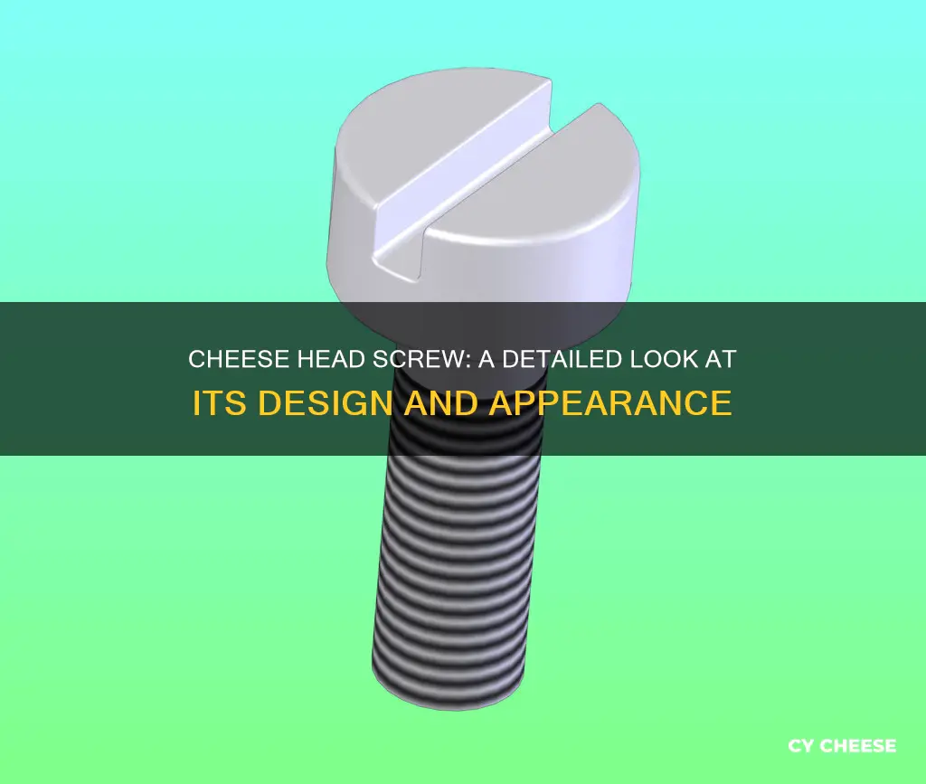 what does a cheese head screw look like