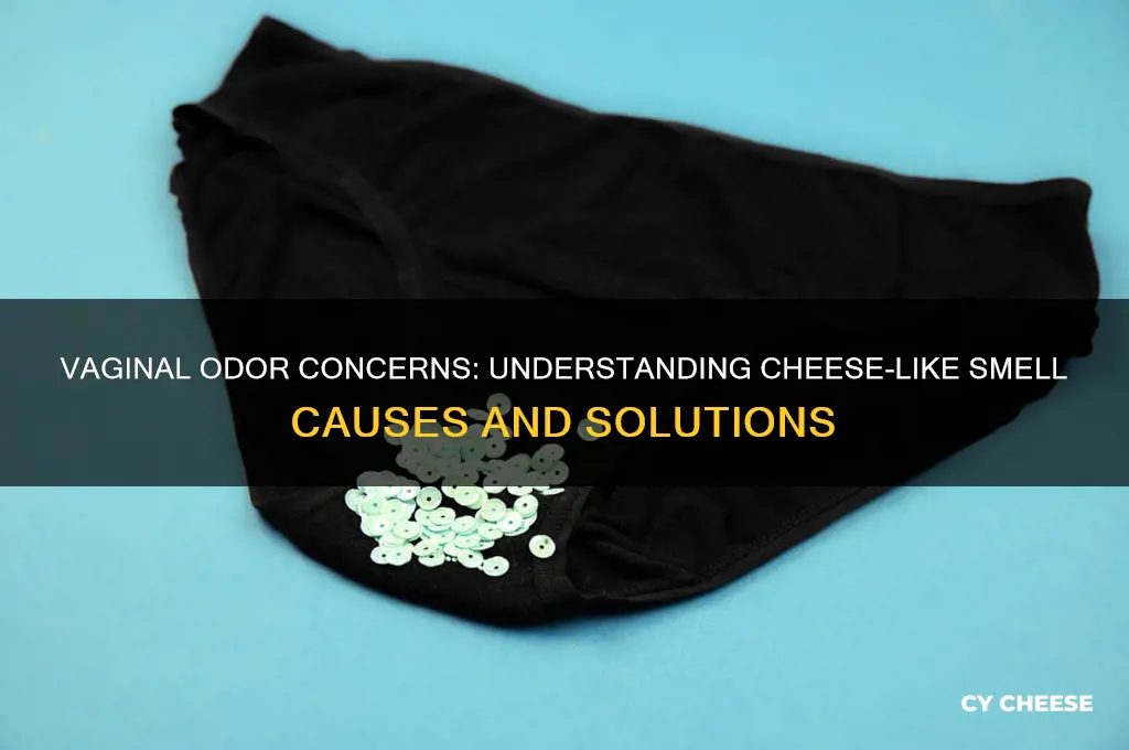 what does a cheese smell from a vagina mean