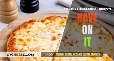 The Classic Italian Pizza: Cheese and More!