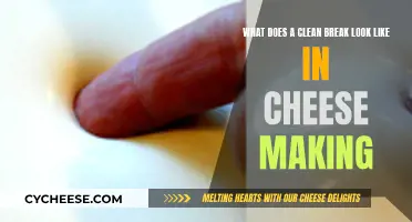 Clean Break Cheesemaking: Art of Perfect Separation