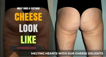 Exploring Cottage Cheese: Appearance, Texture, and Visual Guide