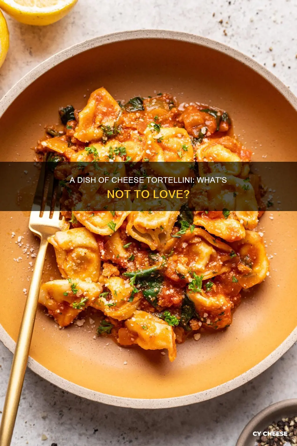 what does a dish of cheese tortellini look like