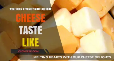 A Cheddar's First Bite: Unveiling the Fresh, Creamy Delight