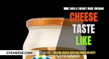 Fresh Cheddar Cheese: A Taste of Creamy, Tangy Deliciousness