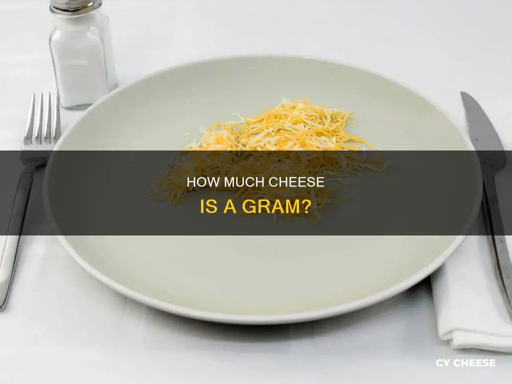 what does a gram of shredded cheese look like