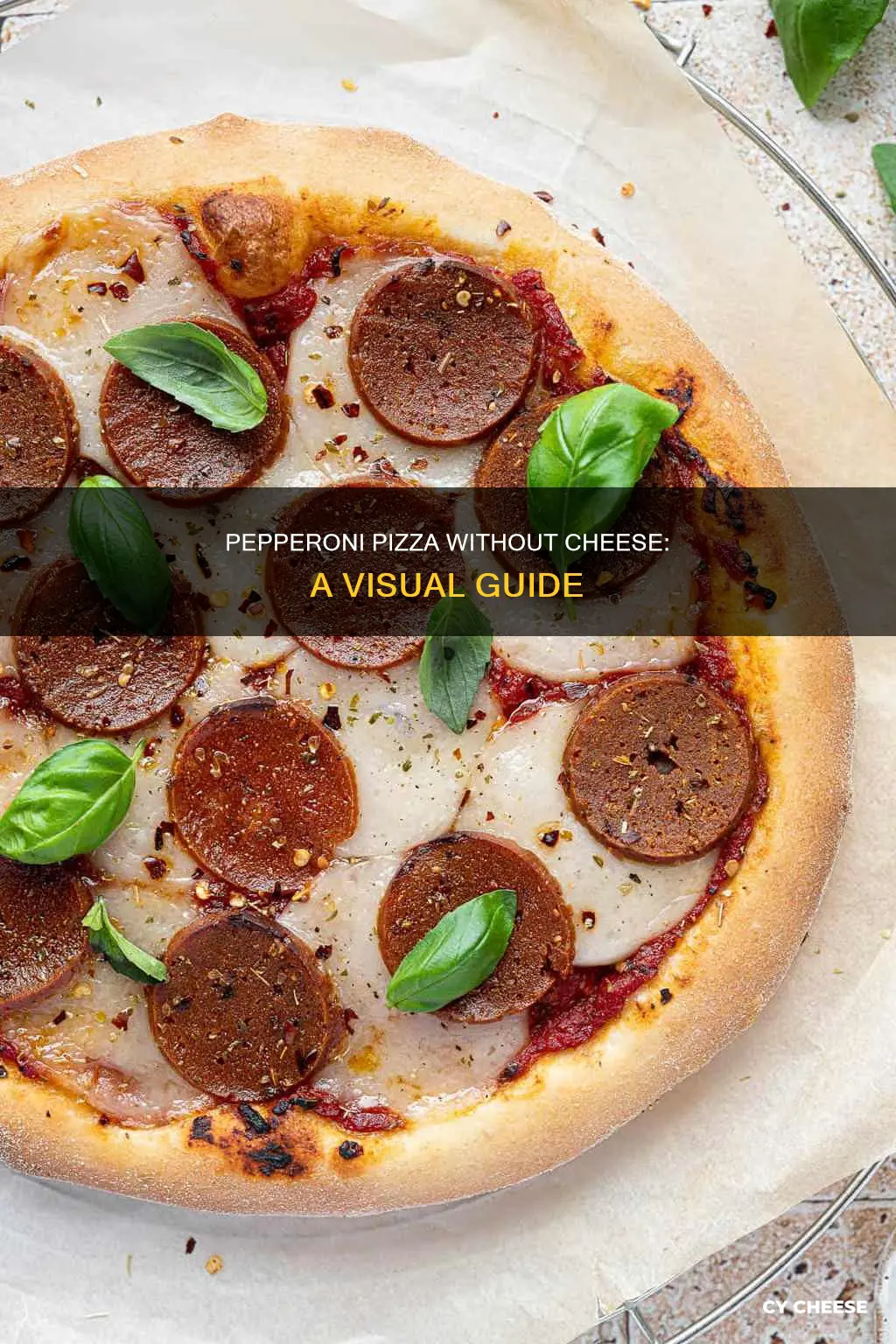 what does a pepperoni pizza look like without cheese