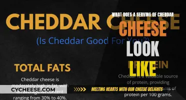 Visual Guide: Cheddar Serving Sizes and Portions