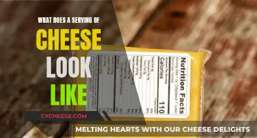 Cheese Portion Sizes: How Much is a Serving?