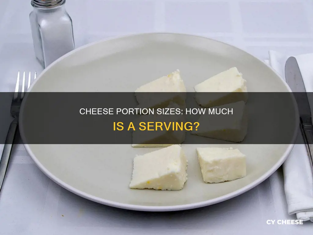 what does a serving of cheese look like