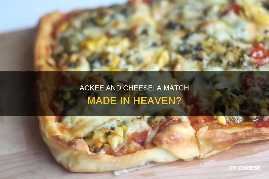 what does ackee taste like cheese