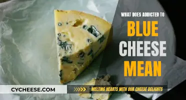 Blue Cheese Enthusiast: What Does It Mean?
