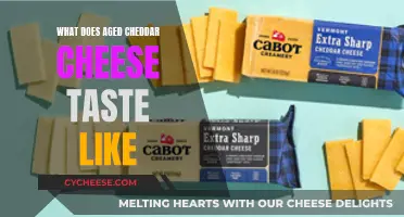 Aged Cheddar's Rich, Nutty Flavor: A Tasting Journey