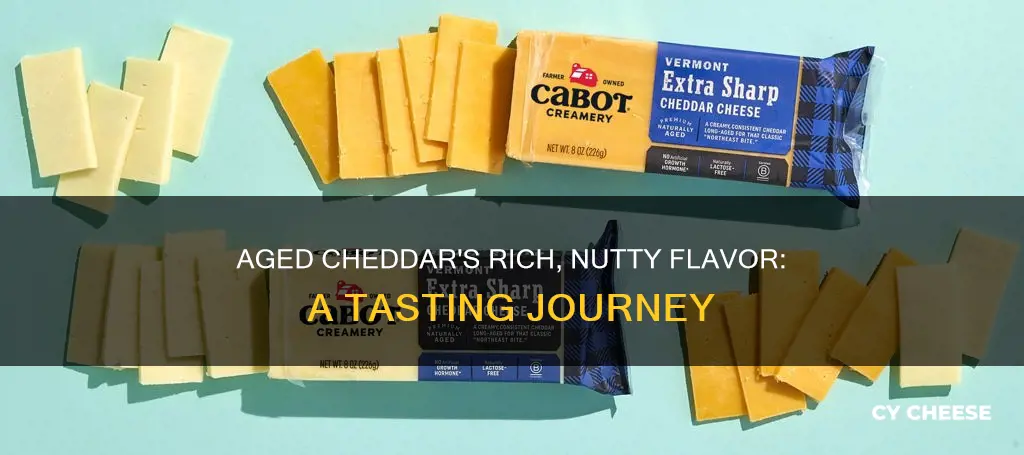 what does aged cheddar cheese taste like