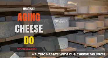 Aging Cheese: Unlocking Flavor, Texture, and Complexity Over Time