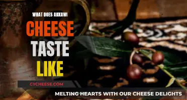 The Unique Taste of Akkawi Cheese Explained