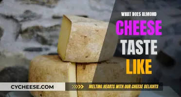 Almond Cheese: A Unique Taste Experience