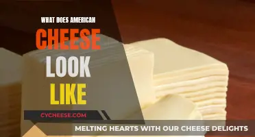 The Visual Guide to American Cheese: A Comprehensive Look