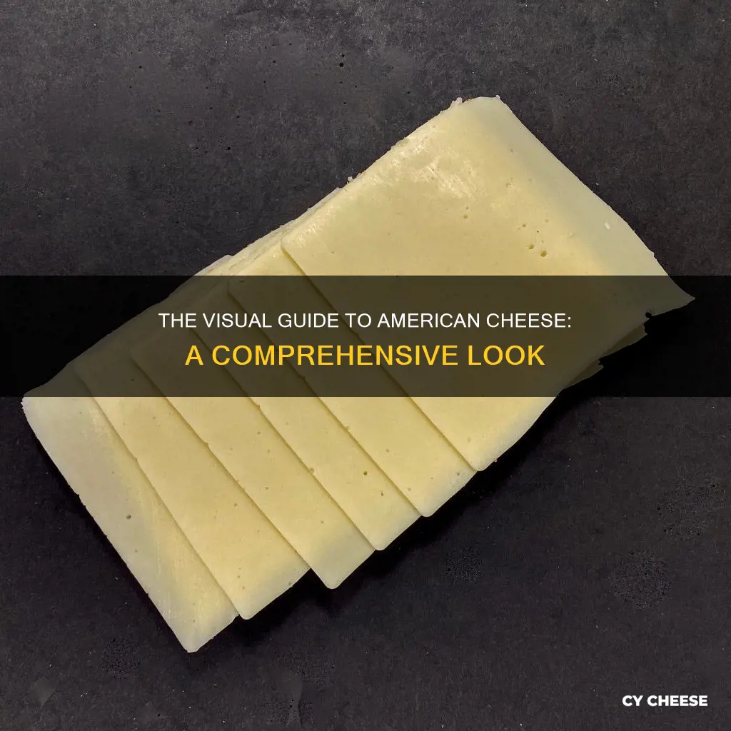 what does american cheese look like