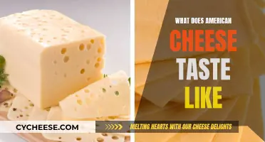 American Cheese: A Taste of the USA