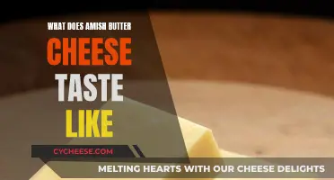 The Taste of Amish Butter Cheese: A Review