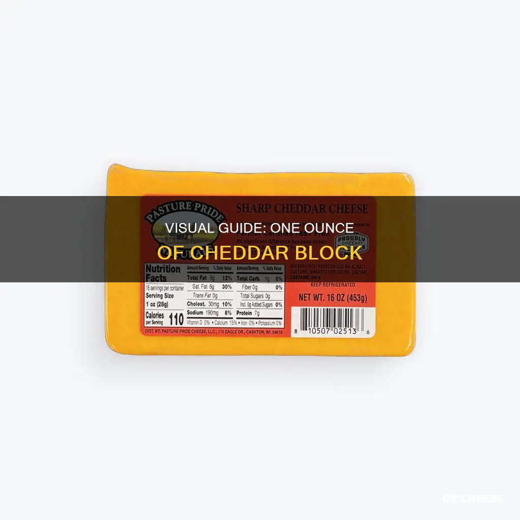 what does an ounce of block cheddar cheese look like