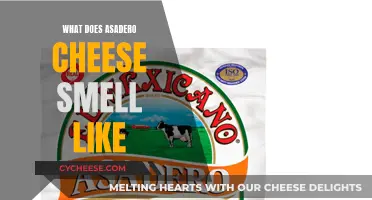 The Aroma of Asadero Cheese: A Sensory Adventure