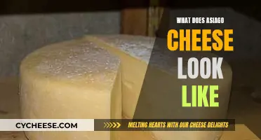 The Appearance of Asiago Cheese: A Visual Guide