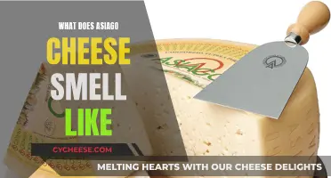 The Smell of Asiago Cheese: Aroma Profile Explained