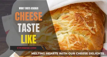 The Unique, Nutty Taste of Asiago Cheese