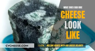 How to Identify Bad Brie Cheese