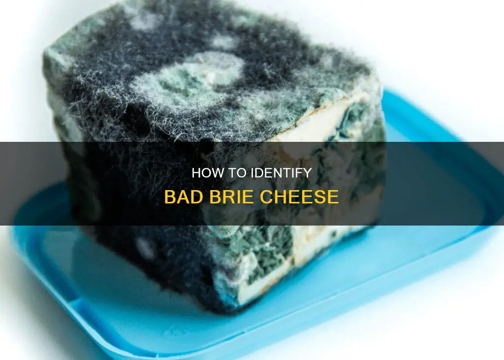 what does bad brie cheese look like