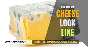 Bad Cheese: How to Spot It?