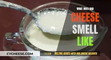 Cheese Gone Bad: The Stench of Decay