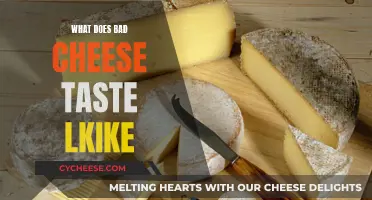 Cheese Gone Wrong: A Taste of Disaster
